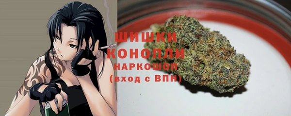 ПСИЛОЦИБИНОВЫЕ ГРИБЫ Дмитров