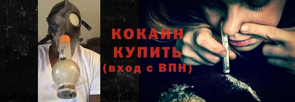 стаф Горняк