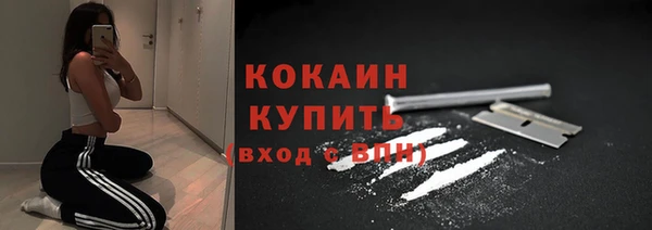 стаф Горняк