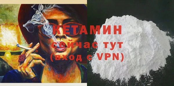 стаф Горняк