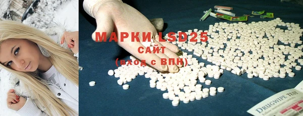 стаф Горняк