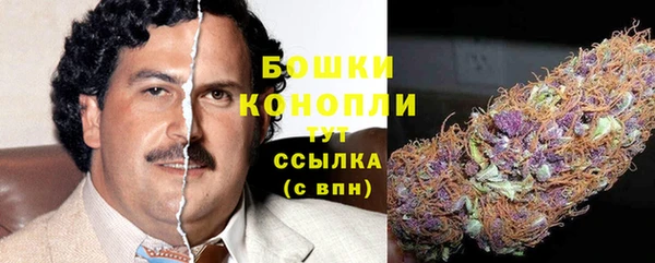 стаф Горняк