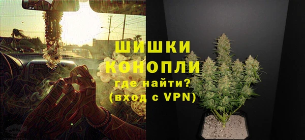 стаф Горняк